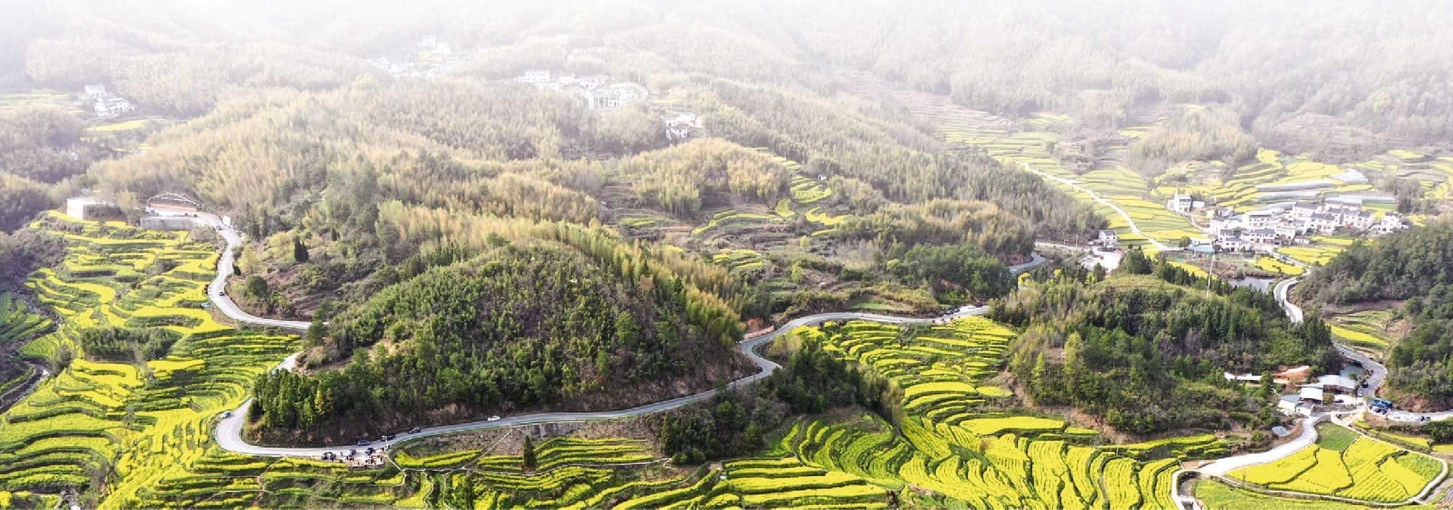 春日的黄山市徽州区灵山梯田风光.本报记者 潘 成 摄