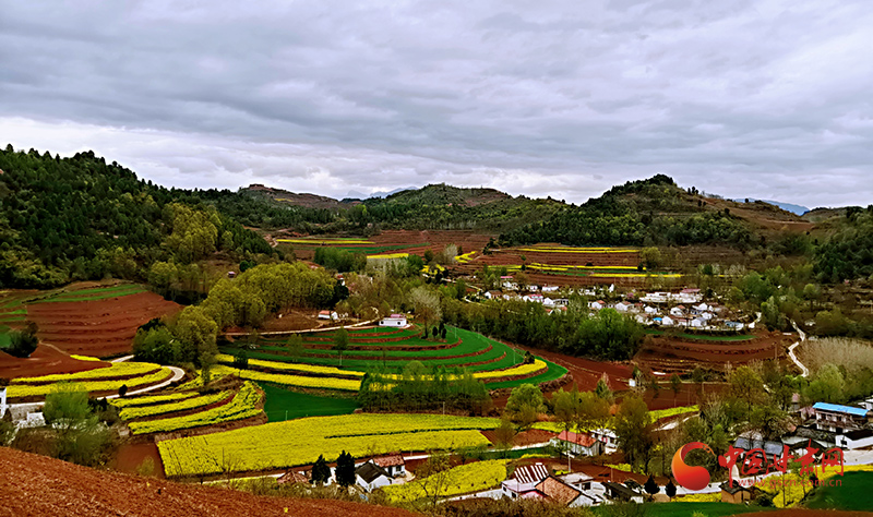 徽县春日田园风光