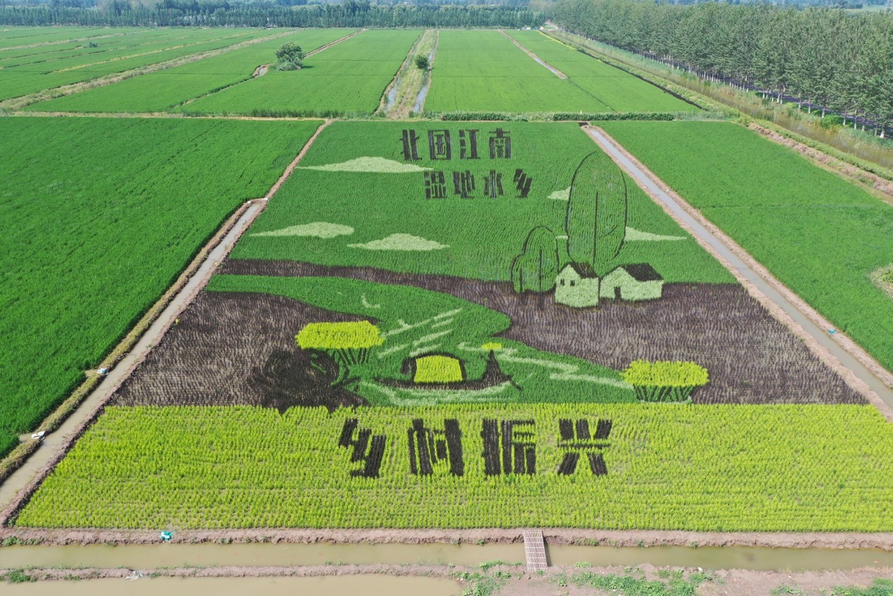 4月22-23日在七里海畔，让我们一同以骑行的方式领略天津宁河，燃起速度与激情，共赴一场精彩的国家级自行车赛事！