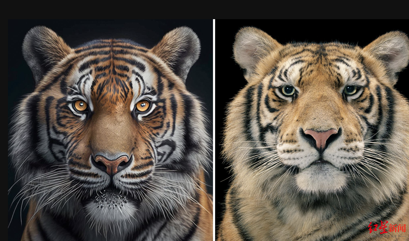 智能seo优化优势