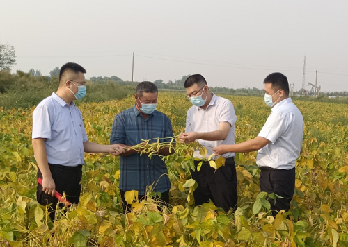 图为中国人寿财险和中国建设银行项目相关人员深入大豆种植户实地调研，探索全链条金融助农服务。