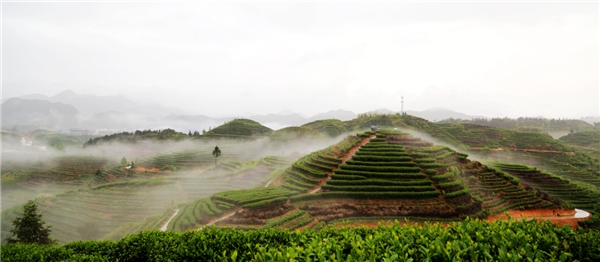 （来源：看头条网）