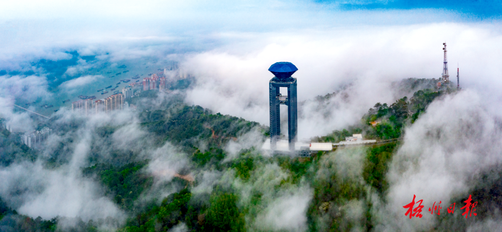 西江明珠塔在晨雾中若隐若现.何鎏 摄