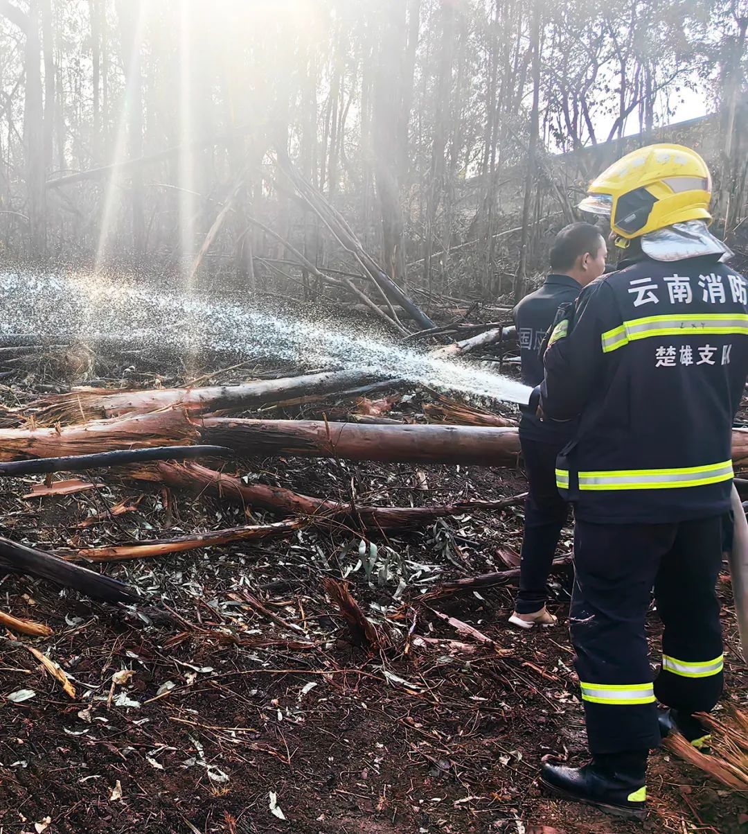 消防人员在山火过后的山林间清灭余火隐患.李晓兰 摄