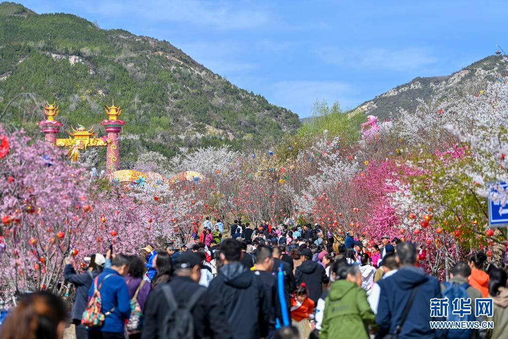 游客在玉泉山城郊森林公园观赏樱花.(新华社记者 杨晨光 摄)