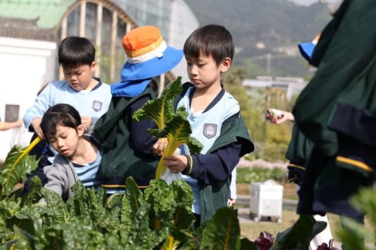 （来源：看头条网）