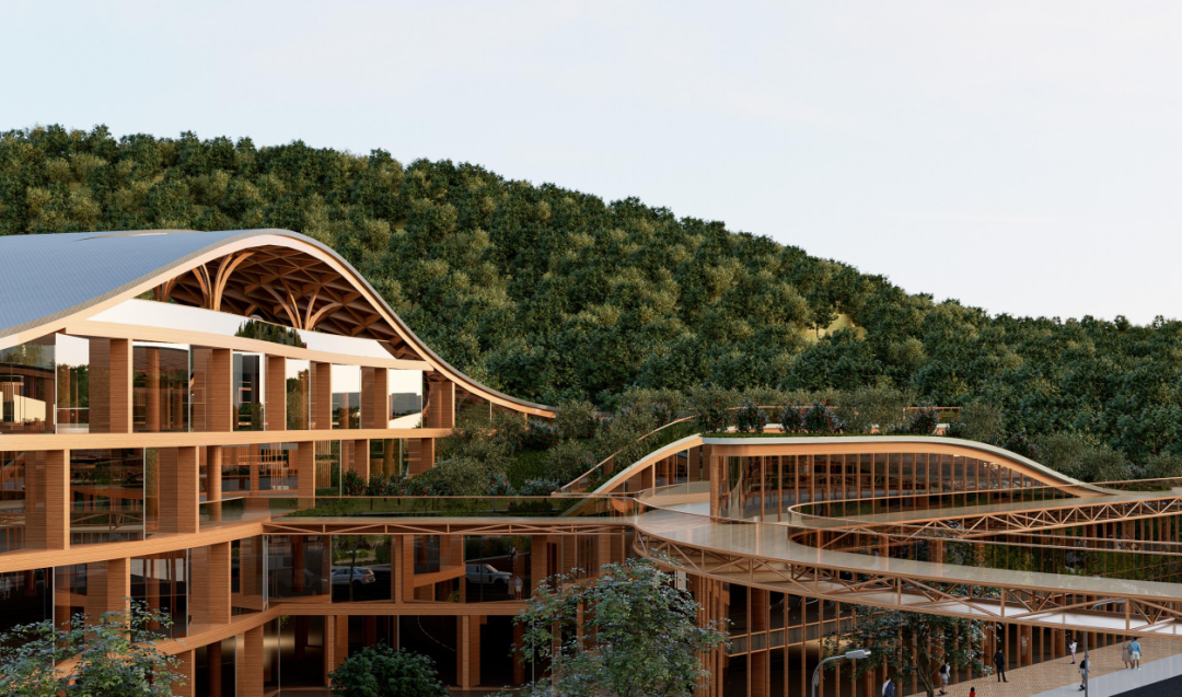 储备林多元化应用与低碳建筑融合发展