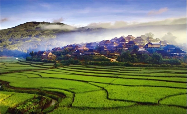 　　西双版纳勐海县处于高海拔雨林地区