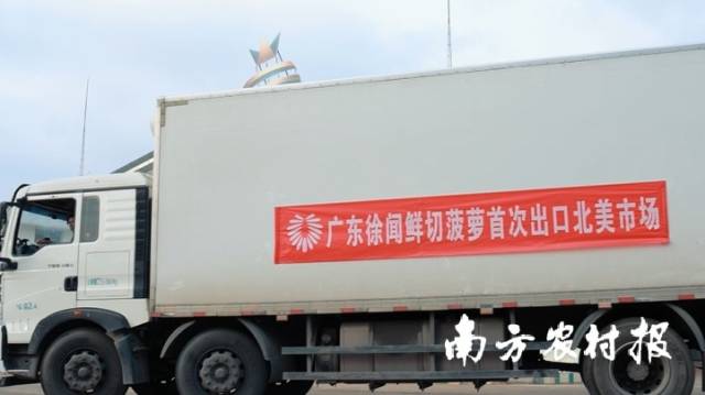 今年3月15日,广东鲜切菠萝实现首次出口。受访者供图