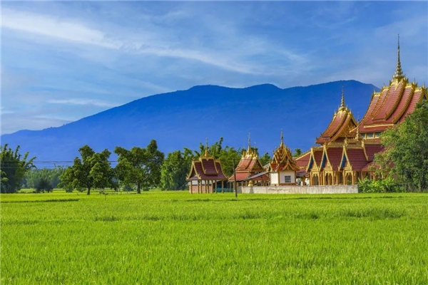　　西双版纳勐海县处于高海拔雨林地区
