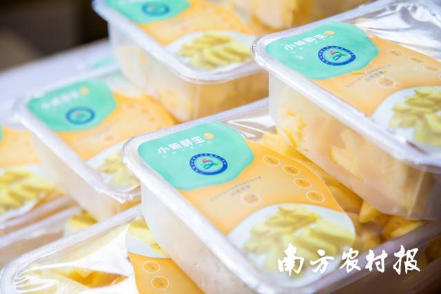 目前,国内市场的鲜切菠萝多是产自徐闻。