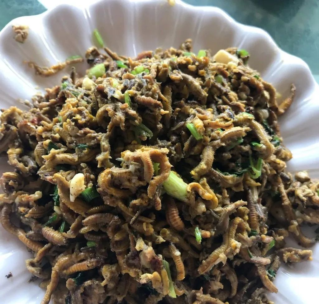 吃过广东神湾禾虫,灵魂都会跟着蠕动__财经头条