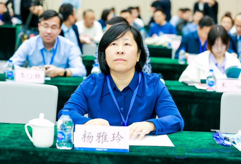 中地数码副总裁杨雅玲出席大会