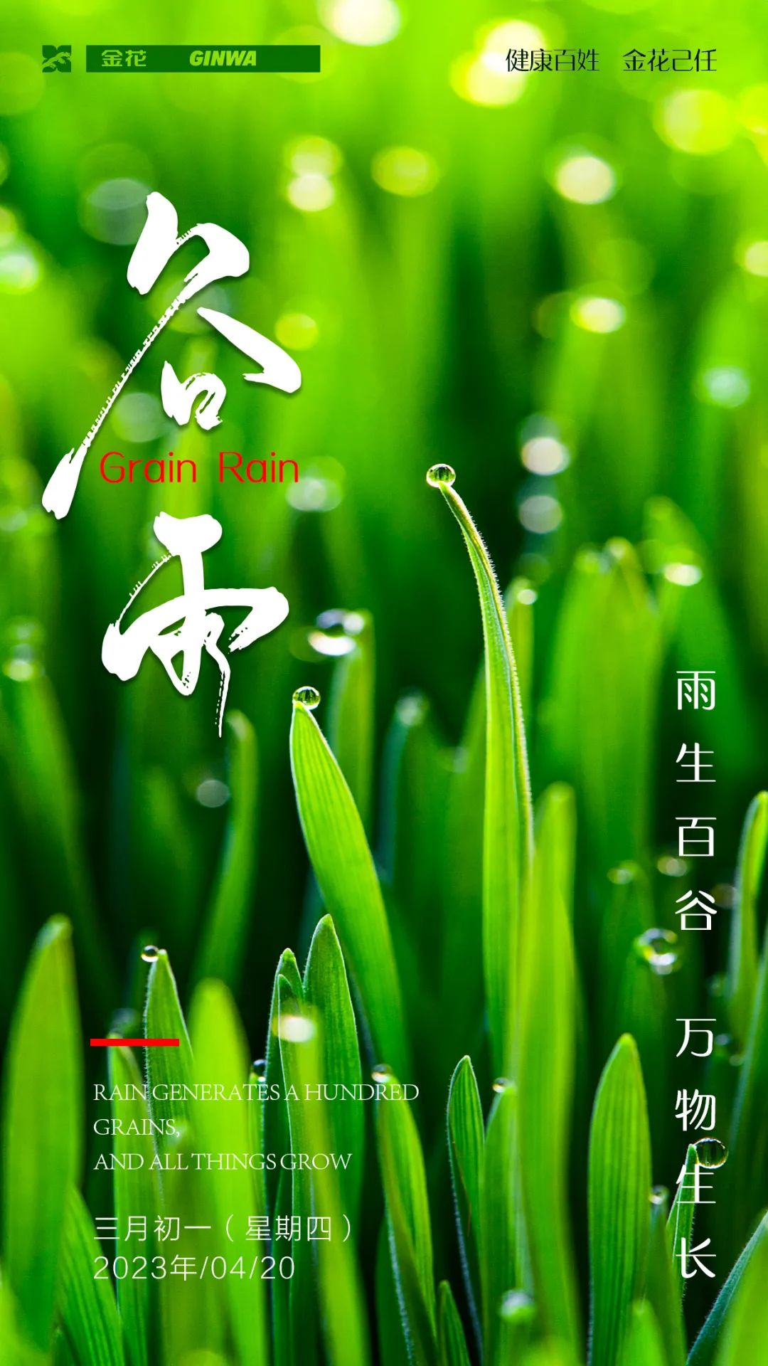 【谷雨】雨生百谷 万物生长|金花股份_新浪财经_新浪网