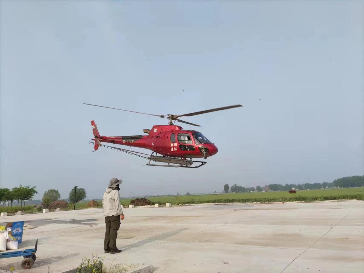 濉溪县四铺镇:直升机飞防喷洒农药 助力小麦病虫害防控