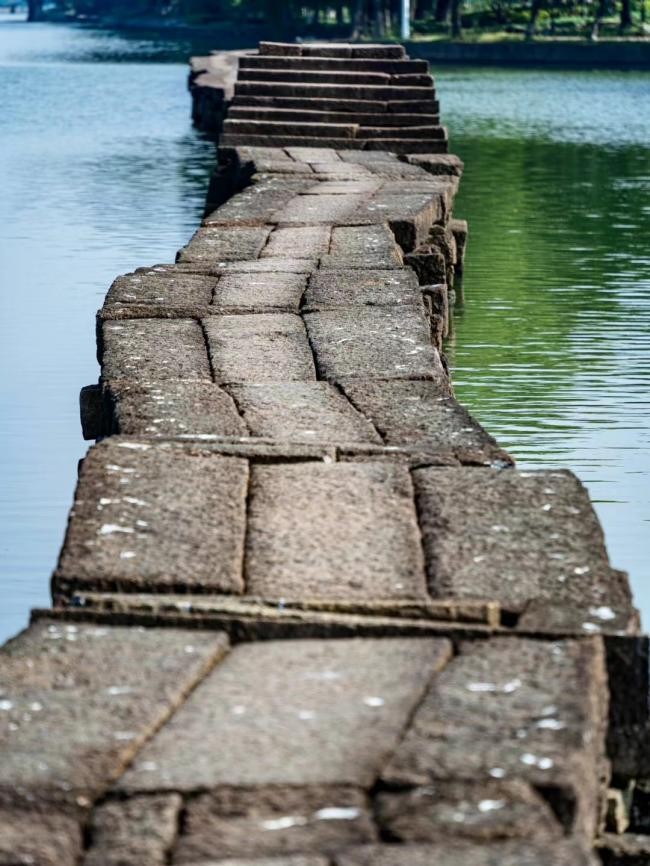 （图片来源于网络，侵删）