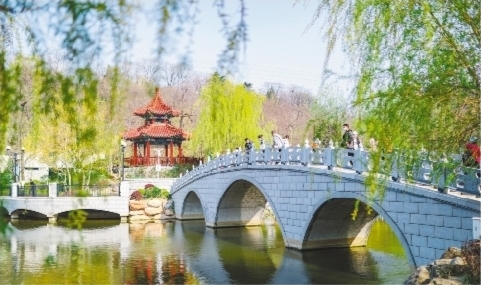 大连市植物园景色宜人。祝龙摄