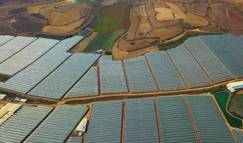 ▲云南红河州建水县是全国最大的早熟夏黑葡萄基地，图为葡萄种植大棚。 段玉良 