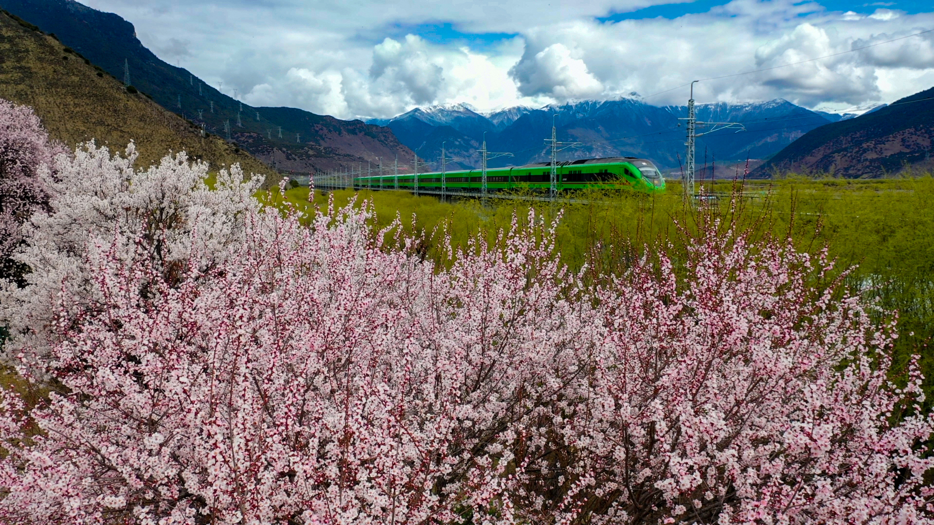 新华社记者姜帆 摄