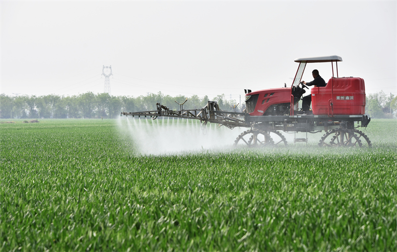 河北省邢台市南和区河郭镇张相村农民使用农业机械在麦田喷洒农药