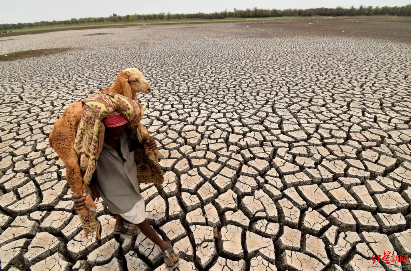 ↑气温升高在印度造成严重干旱问题
