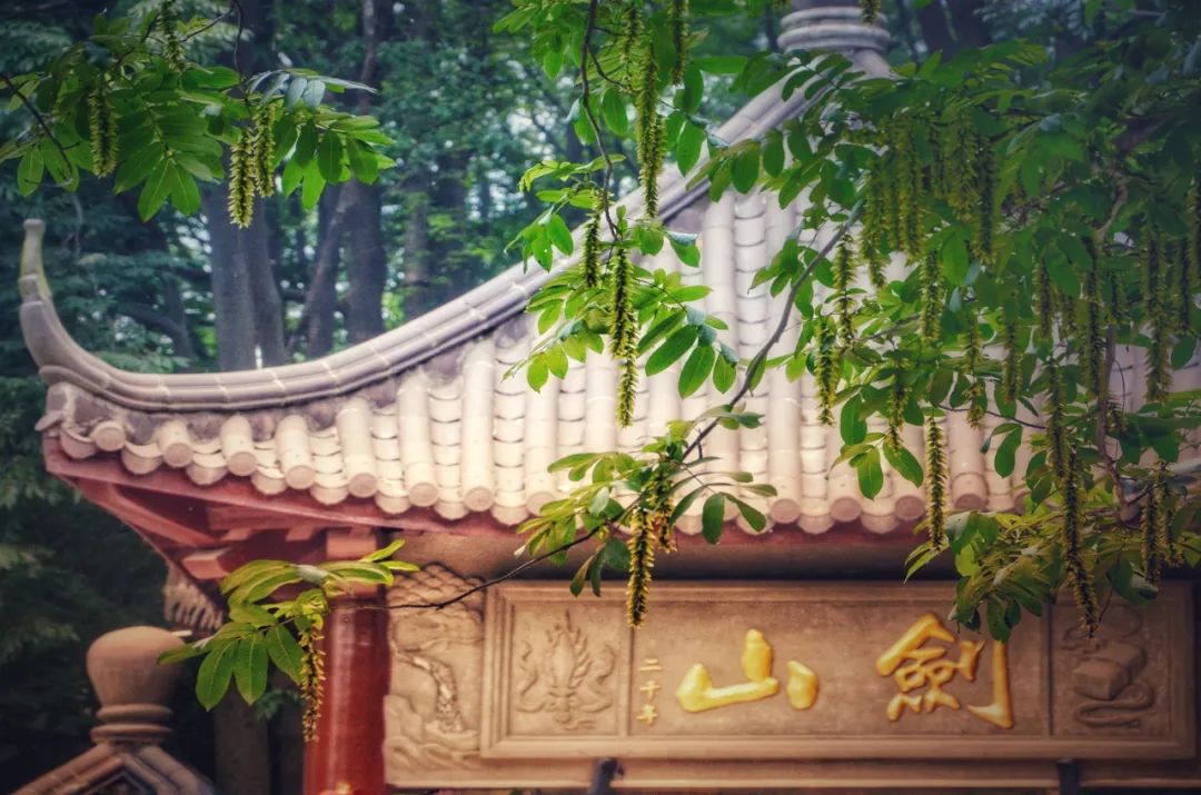 剑山景区临时闭园!|南通市_新浪财经_新浪网