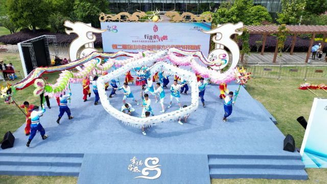 小白龙会同桃花龙,桃叶龙,草龙,彩带龙,天龙等共同舞出了"湾区桃源"的