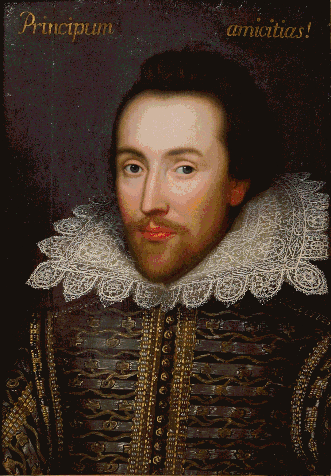 它不仅内容丰富，更配有作者精选的插图。