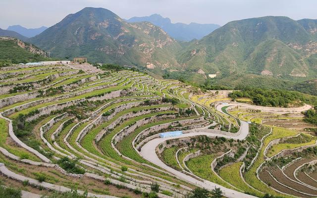 苇子水村,依山而建的梯田.受访者供图