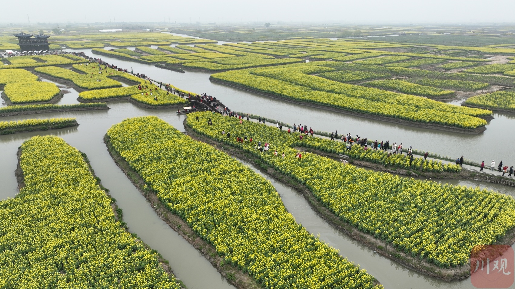 几百年来,垛田有效支撑了兴化市农业的发展,20世纪50年代,便有了"垛田