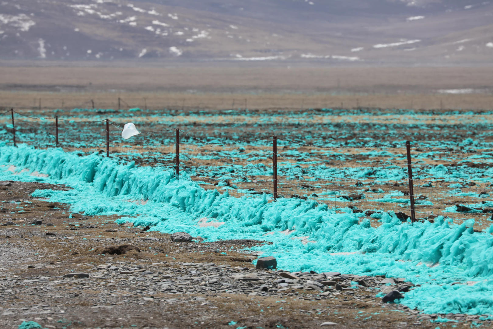 玉树嘉塘草原现大量塑料薄膜被指涉嫌污染自然环境县网信办可降解至90