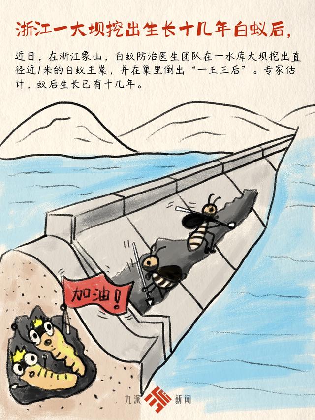 漫画新闻｜千奇百怪的“小偷”们（新闻主漫画免费阅读17）