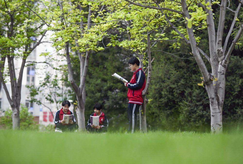4月22日,河北省遵化市第一中学的学生在校园晨读.新华社发(刘满仓 摄)