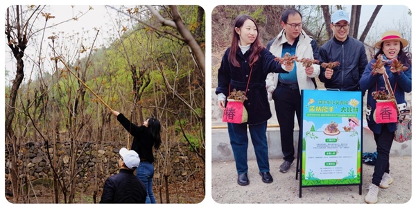 香椿全席享美味，其乐融融泗家水