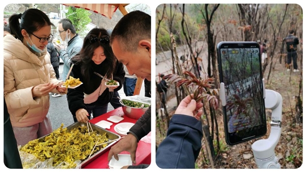 采摘节里庆丰收，民俗表演展新貌