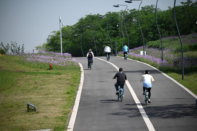 2022年5月4日，市民在青龙湖湿地公园段骑行（资料图）