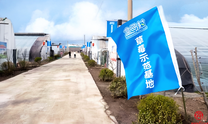 济南百菜园荣升盒马村唐荷堂让播种即有归宿