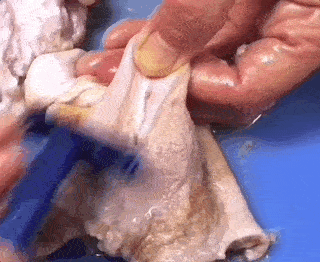 “除毛也分派别，国内普遍是喷火派，一些东南亚地区则主要流行刮刀派”