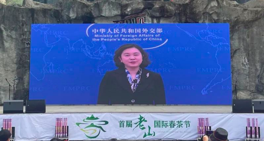 外交部部长助理华春莹视频致辞