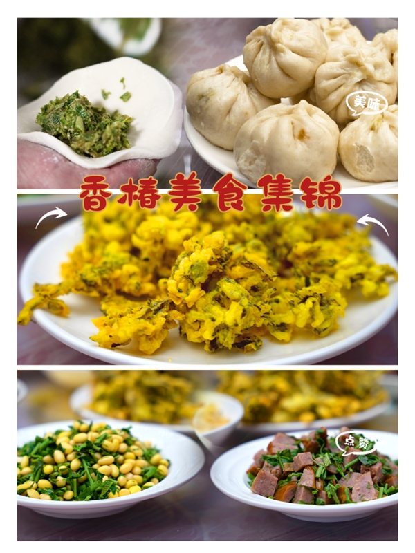 小小香椿大梦想，三产融合促发展