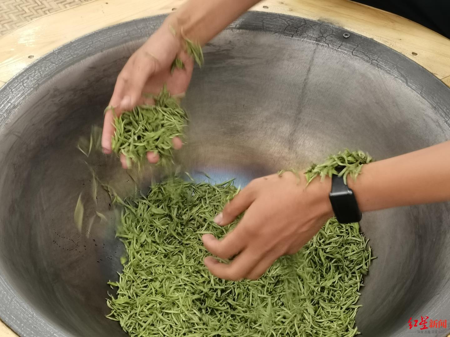 传统技艺不能忘10支代表队40余名选手同台竞技手工制茶