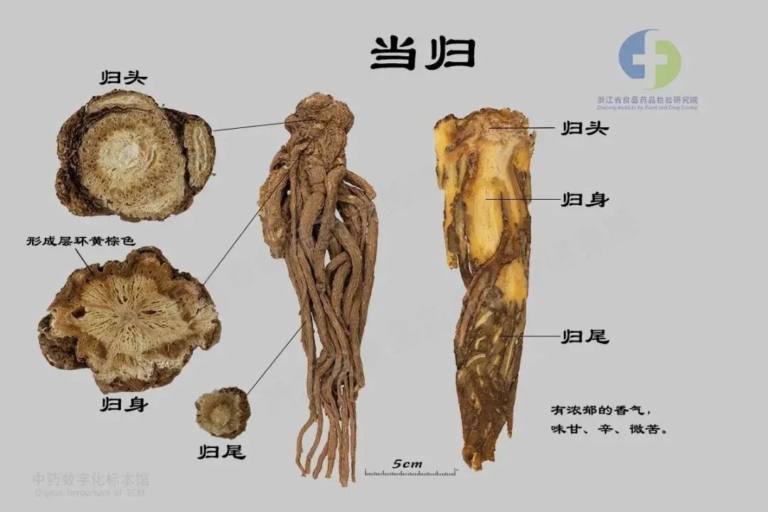人生当苦无妨,良人"当归"即好