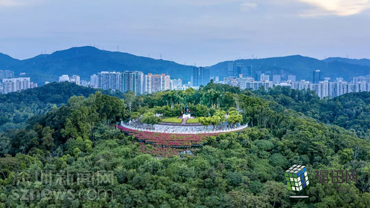 深圳莲花山公园.