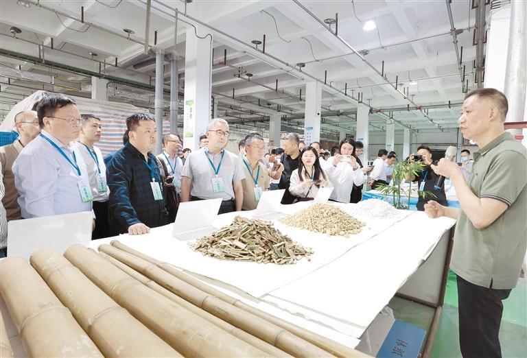 与会代表在泰盛(贵州)集团观摩竹浆纸一体化生产工艺. 方春英 摄