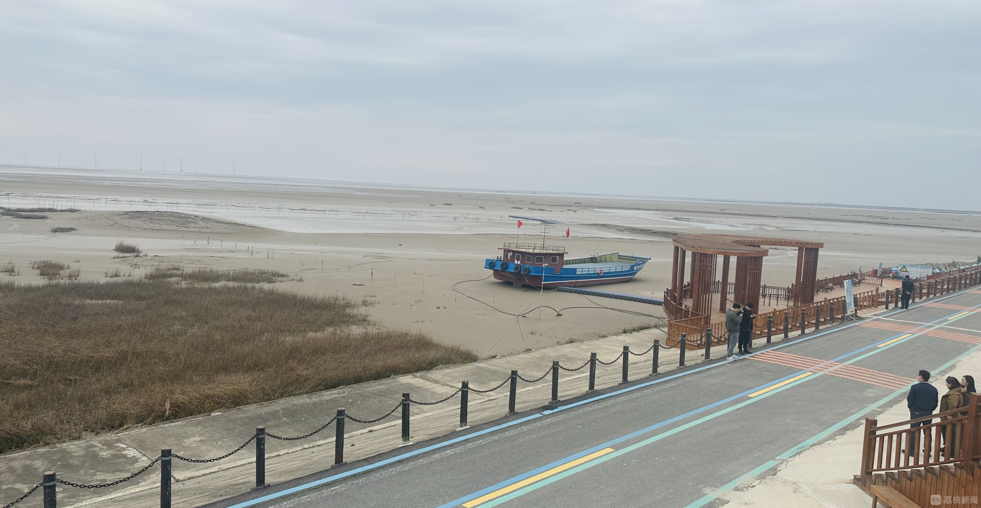 江苏盐城东台条子泥湿地成"鸟类天堂"|盐城市_新浪财经_新浪网