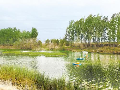 曲周县白寨镇白寨村废弃多年的老砖厂坑塘经过治理变成了洁净坑塘.