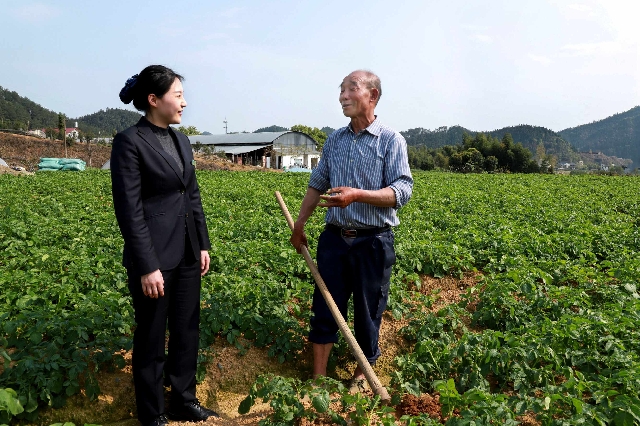 (图为开化农商银行工作人员(左)正在马铃薯种植基地向余土根(右)做贷