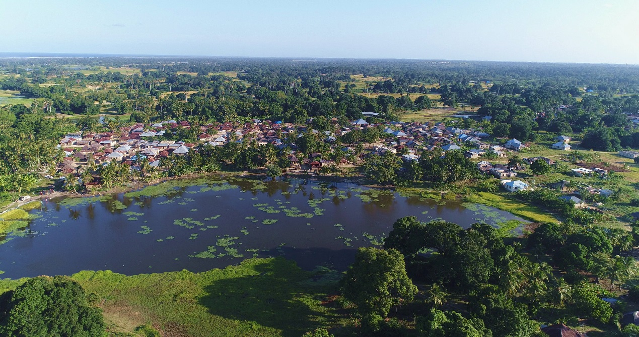 桑给巴尔奔巴岛上的水塘(受访机构提供)