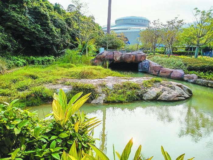 作为场地与山体雨水行泄通道的排洪渠