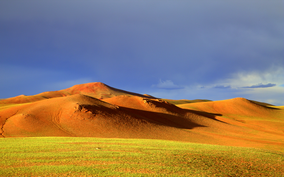 西藏林草局:着力创建羌塘和珠峰等国家公园_新浪财经_新浪网